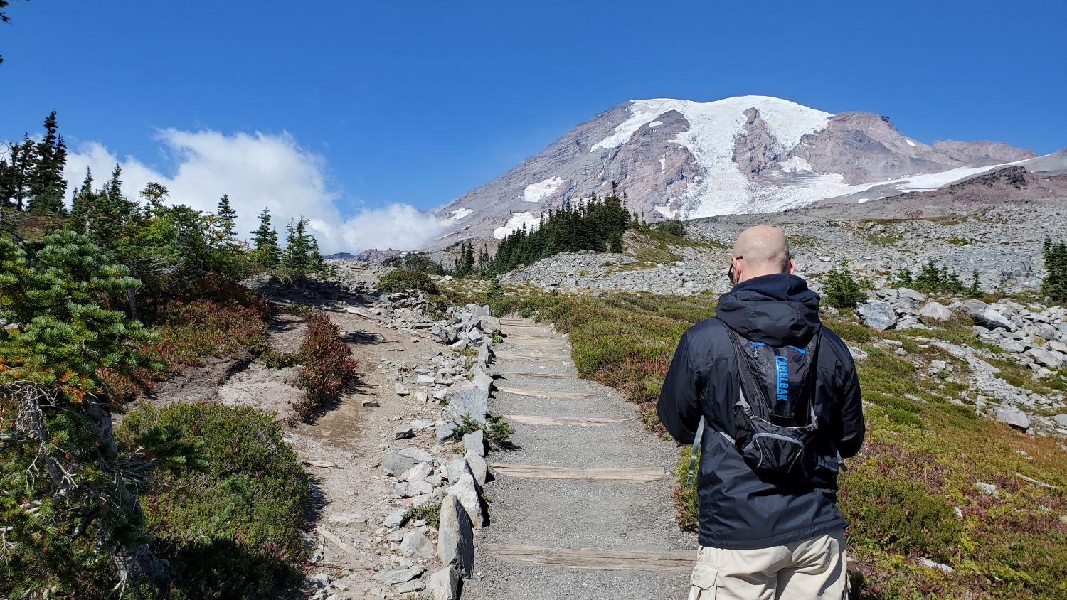 Mount Rainier NP 